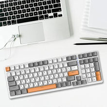 Load image into Gallery viewer, predolo Russian Mechanical Gaming Keyboard 100 Keys, Ergonomics,RGB, Backlit, USB Wired Plug and Play Durable Portable 98% Allocation for PC Laptop, Style E, StyleE_6810