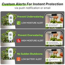 Load image into Gallery viewer, RAINPOINT Smart Digital Wireless Plant Moisture Meter Houseplants Indoor WiFi Hub Kit with Low/High Moisture Alert,Real-time Monitor Hygrometer Sensor Outdoor Gardening Push Notification&Email_4