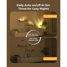 Load image into Gallery viewer, Spotlights Indoor with Daily Auto Timer, 5500mAh Rechargeable Plant Lights, Wireless Uplighting with Remote, 3CCT & Dimmable, Display Lights for Painting, Artwork, Plants, Accent Lighting, Black_208