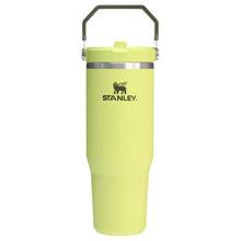 Load image into Gallery viewer, STANLEY IceFlow 2.0 Flip Straw Tumbler, 30 oz, Prickly Pear, PricklyPear_1