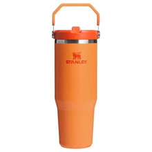 Load image into Gallery viewer, STANLEY IceFlow 2.0 Flip Straw Tumbler, 30 oz, Goldenrod Coral, GoldenrodCoral_1