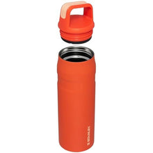 Load image into Gallery viewer, STANLEY IceFlow Cap and Carry Water Bottle 24 oz | Wide Mouth Twist Lid | Lightweight and Leakproof for Travel and Sports | Insulated Stainless Steel | BPA-Free | Tigerlily_373