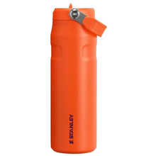 Load image into Gallery viewer, STANLEY IceFlow Flip Straw 2.0 Bottle, 24 oz, Tigerlily Plum, TigerlilyPlum_1