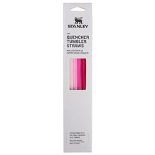 Load image into Gallery viewer, Stanley Quencher Tumbler Straws for 30 oz | Reusable Replacement Straws for Tumbler with Handle | Stainless Steel Drinking Cup Accessory | BPA-Free | Pink Multi Pack, PinkMultiPack_1