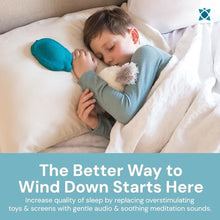 Load image into Gallery viewer, Zenimal Kids Meditation Turtle, Screen Free Sleep and Meditation Device for Kids, 9 Guided Meditations Plus 3 Sleep Sounds, No WiFi at Bedtime, Narrated by a Real Human Voice, Ages 3 to 12, Teal_4292