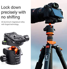Load image into Gallery viewer, K&F Concept Professional 28mm Metal Tripod Ball Head 360 Degree Rotating Panoramic with 1/4 inch Quick Release Plate Bubble Level for Tripod Monopod Slider Camera Camcorder up to 22 pounds
