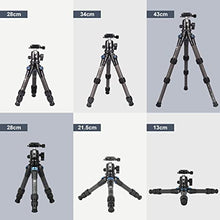 Load image into Gallery viewer, SIRUI AM-223 Carbon Fiber Camera Tripod Mini Travel Compact Tripod with 360° B-00K Ball Head, Arca Swiss Quick Release Plate, Loads up 15KG, Max Height 16.6", Folded Height 12.1"