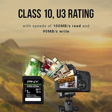 Load image into Gallery viewer, PNY 256GB PRO Elite Class 10 U3 V30 SDXC Flash Memory Card - 100MB/s, Class 10, U3, V30, 4K UHD, Full HD, UHS-I, Full Size SD