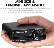 Load image into Gallery viewer, Douk Audio G4 Subwoofer Full-Frequency Mono Channel Digital Power Amplifier 100W