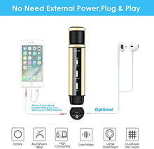 Load image into Gallery viewer, Studio Recording Microphone, ZealSound Condenser Broadcast Microphone w/Stand Built-in Sound Card Echo Recording Karaoke Singing for Phone Computer PC Garageband Smule Live Stream & YouTube (Gold)