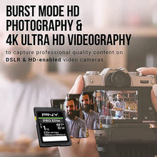 Load image into Gallery viewer, PNY 256GB PRO Elite Class 10 U3 V30 SDXC Flash Memory Card - 100MB/s, Class 10, U3, V30, 4K UHD, Full HD, UHS-I, Full Size SD