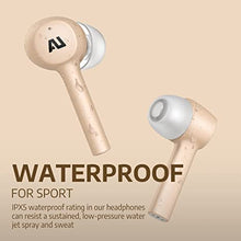 Load image into Gallery viewer, Ausounds AU-Stream True Wireless Titanium Driver Earbuds (Gold)