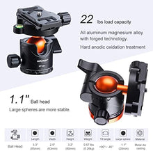Load image into Gallery viewer, K&F Concept Professional 28mm Metal Tripod Ball Head 360 Degree Rotating Panoramic with 1/4 inch Quick Release Plate Bubble Level for Tripod Monopod Slider Camera Camcorder up to 22 pounds
