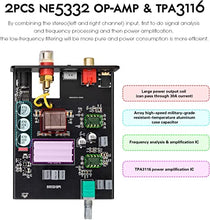 Load image into Gallery viewer, Douk Audio G4 Subwoofer Full-Frequency Mono Channel Digital Power Amplifier 100W