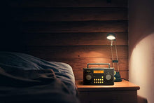 Load image into Gallery viewer, Sangean PR-D17 AM/FM-RDS Portable Radio Specially Designed for The Visually Impaired with Helpful Guided Voice Prompts, Black, 10 Station Presets (5 AM, 5 FM), Stereo/Mono Switch, Alarm Timer