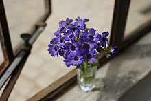 Load image into Gallery viewer, Sony - FE 50mm F1.8 Standard Lens (SEL50F18F/2)