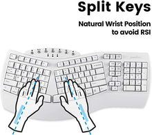 Load image into Gallery viewer, Perixx Periboard-612 Wireless Ergonomic Split Keyboard, US English Layout