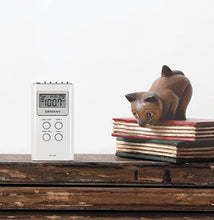Load image into Gallery viewer, Sangean DT-120 AM/FM Stereo PLL Synthesized Pocket Receiver, WHITE