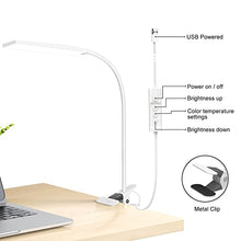 Load image into Gallery viewer, RAOYI LED Desk Lamp, 5W USB Clip on Light Eye-Caring Reading Clamp Table Lamp with 48 LEDs Flexible Gooseneck, 3 Color Modes and 14 Brightness Levels for Office Bedroom Study (White)
