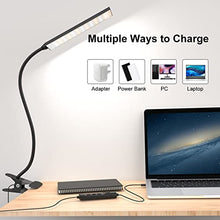 Load image into Gallery viewer, RAOYI LED Desk Lamp, 5W USB Clip on Light Eye-Caring Reading Clamp Table Lamp with 48 LEDs Flexible Gooseneck, 3 Color Modes and 14 Brightness Levels for Office Bedroom Study (Black)
