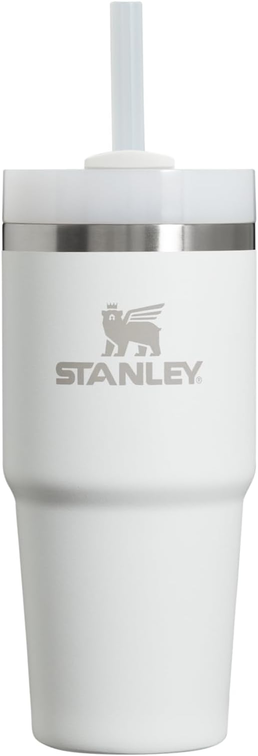 Stanley Quencher H2.0 FlowState Stainless Steel Vacuum Insulated Tumbler with Lid and Straw for Water, Iced Tea or Coffee, Smoothie and More, Frost, 14oz