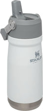 Load image into Gallery viewer, Stanley IceFlow Stainless Steel Water Jug with Straw, Vacuum Insulated Water Bottle for Home and Office, Reusable Tumbler with Straw Leak Resistant Flip, Polar, 17 OZ
