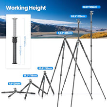 Load image into Gallery viewer, WEYLLAN Heavy Duty Carbon Fiber Tripod for Camera, 10-Layer Tube, 29mm Leg with DSLR Tripod Ball Head, Max Load 20kg
