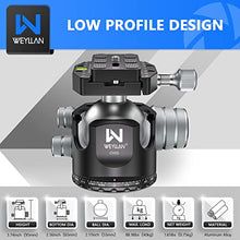 Load image into Gallery viewer, Low Profile Ball Head 55mm Tripod Ball Head WEYLLAN CH55 Heavy Duty 360 Panoramic Tripod Head, Large Size CNC Aluminum Camera Head for Tripod, with Two Arca Quick Release Plates, Max Load 88lbs/40kg
