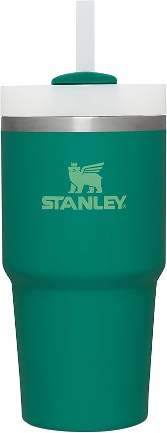 Stanley Quencher H2.0 FlowState Stainless Steel Vacuum Insulated Tumbler with Lid and Straw for Water, Iced Tea or Coffee, Smoothie and More, Alpine, 20 oz