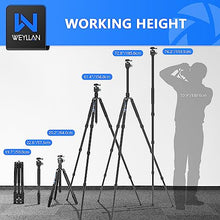 Load image into Gallery viewer, 72.6&#39;&#39; Carbon Fiber Tripod Camera Monopod WEYLLAN Heavy Duty Tripod for Camera, 32.5mm Tube, Professional Camera Tripod with 44mm Arca Low Profile Ball Head, Dslr Tripod Stand for Telescope, Camcorder
