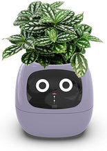 Load image into Gallery viewer, Smart Flowerpots,Smart Pet Planter,Ai Planter,Intelligent Flowerpots,Multiple Expressions,7 Smart Sensors, and Ai Chips Make Raising Plants Easy and Fun for Living Room,Plant-Free(Purple)
