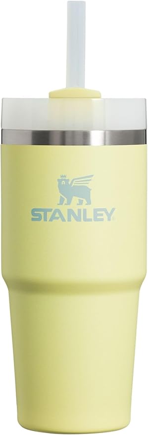 Stanley Quencher H2.0 FlowState Stainless Steel Vacuum Insulated Tumbler with Lid and Straw for Water, Iced Tea or Coffee, Smoothie and More, Pomelo, 14oz