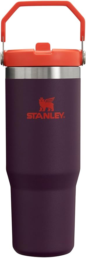 Stanley IceFlow Flip Straw Tumbler with Handle 30 oz | Twist On Lid and Flip Up Straw | Leak Resistant Water Bottle | Insulated Stainless Steel |BPA-Free | Plum