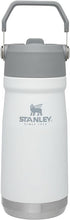 Load image into Gallery viewer, Stanley IceFlow Stainless Steel Water Jug with Straw, Vacuum Insulated Water Bottle for Home and Office, Reusable Tumbler with Straw Leak Resistant Flip, Polar, 17 OZ
