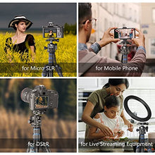 Load image into Gallery viewer, Low Profile Tripod Ball Head, WEYLLAN 36mm Metal Panoramic Camera Tripod Head Mount with Arca 1/4'' Quick Release Plate, Camera Ball Head for Tripod Monopod, Ball Head Tripod Mount Max Load 33lbs/15kg
