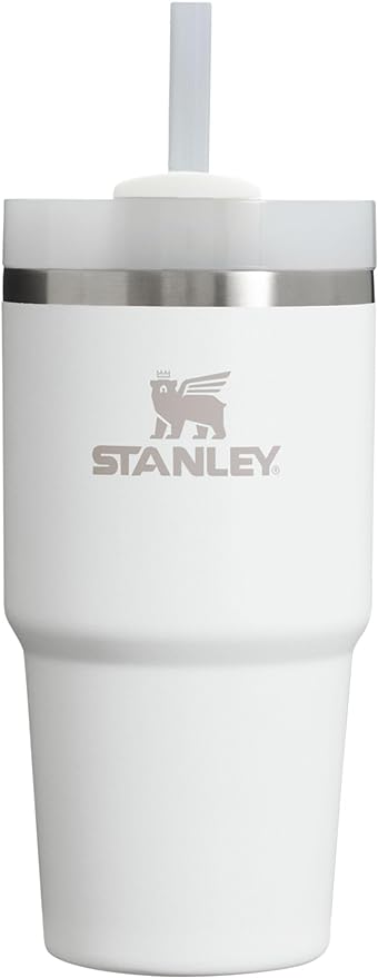 Stanley Quencher H2.0 FlowState Stainless Steel Vacuum Insulated Tumbler with Lid and Straw for Water, Iced Tea or Coffee, Smoothie and More, Frost, 20oz