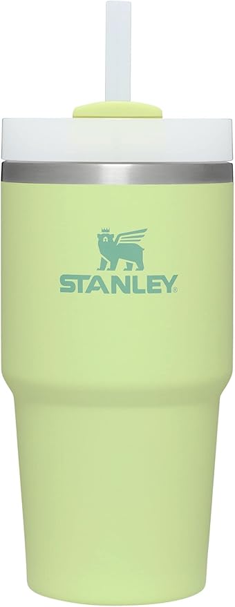 Stanley Quencher H2.0 FlowState Stainless Steel Vacuum Insulated Tumbler with Lid and Straw for Water, Iced Tea or Coffee, Smoothie and More, Citron, 20 oz