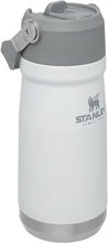 Load image into Gallery viewer, Stanley IceFlow Stainless Steel Water Jug with Straw, Vacuum Insulated Water Bottle for Home and Office, Reusable Tumbler with Straw Leak Resistant Flip, Polar, 17 OZ
