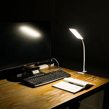 Load image into Gallery viewer, RAOYI LED Desk Lamp, 5W USB Clip on Light Eye-Caring Reading Clamp Table Lamp with 48 LEDs Flexible Gooseneck, 3 Color Modes and 14 Brightness Levels for Office Bedroom Study (White)
