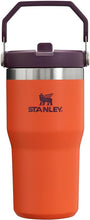 Load image into Gallery viewer, Stanley IceFlow Flip Straw Tumbler with Handle 20 oz | Twist On Lid and Flip Up Straw | Leak Resistant Water Bottle | Insulated Stainless Steel |BPA-Free | Tigerlily Plum
