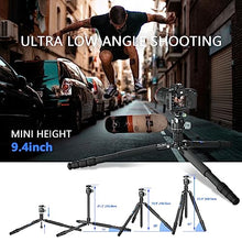 Load image into Gallery viewer, 68.7&#39;&#39; Carbon Fiber Tripod for Camera WEYLLAN FX6 Carbon Travel Tripod Camera Monopod, 29mm Tube, Professional Camera Tripod with 44mm Panorama Low Profile Ball Head, Flexity Camera Tripod for DSLR
