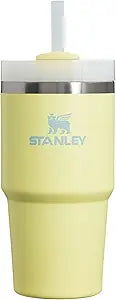 Stanley Quencher H2.0 FlowState Stainless Steel Vacuum Insulated Tumbler with Lid and Straw for Water, Iced Tea or Coffee, Smoothie and More, Pomelo, 20oz