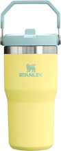 Load image into Gallery viewer, Stanley IceFlow Flip Straw Tumbler with Handle 20 oz | Twist On Lid and Flip Up Straw | Leak Resistant Water Bottle | Insulated Stainless Steel |BPA-Free | Pomelo
