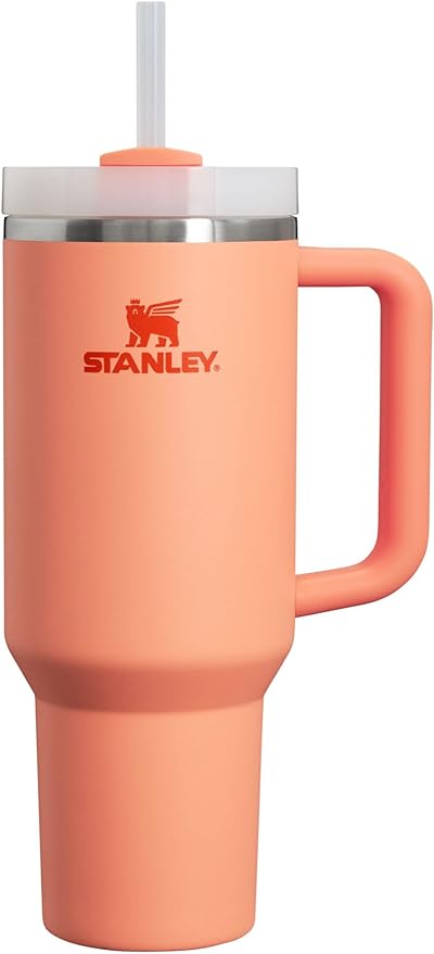 Stanley Quencher H2.0 FlowState Stainless Steel Vacuum Insulated Tumbler with Lid and Straw for Water, Iced Tea or Coffee, Smoothie and More, Nectarine, 40oz