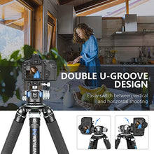 Load image into Gallery viewer, Low Profile Ball Head 55mm Tripod Ball Head WEYLLAN CH55 Heavy Duty 360 Panoramic Tripod Head, Large Size CNC Aluminum Camera Head for Tripod, with Two Arca Quick Release Plates, Max Load 88lbs/40kg
