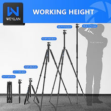 Load image into Gallery viewer, 68.7&#39;&#39; Carbon Fiber Tripod for Camera WEYLLAN FX6 Carbon Travel Tripod Camera Monopod, 29mm Tube, Professional Camera Tripod with 44mm Panorama Low Profile Ball Head, Flexity Camera Tripod for DSLR
