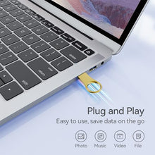 Load image into Gallery viewer, RAOYI 3 Pack 32GB Metal Key Shape USB Flash Drive, USB 2.0 Memory Stick Thumb Drives Jump Drive (Black/Silver/Gold, 3 Mixed Colors)
