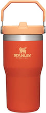 Load image into Gallery viewer, Stanley IceFlow Stainless Steel Tumbler - Vacuum Insulated Water Bottle for Home, Office or Car Reusable Cup with Straw Leak Resistant Flip Cold for 12 Hours or Iced for 2 Days, Tigerlily, 20OZ

