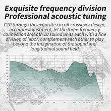 Load image into Gallery viewer, CCA C10 Wired Earbuds in-Ear Headphones with Microphone,4BA+1DD 5 Driver in-Ear HiFi Metal Earphones IEMs with Zinc Alloy Faceplate,Detachable Cable for Singer Guitarist Drummer(Matte Black,with Mic)
