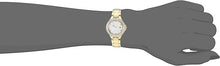 Load image into Gallery viewer, Citizen Ladies' Silhouette Crystal Eco-Drive Watch, 3-Hand Date, Stainless Steel
